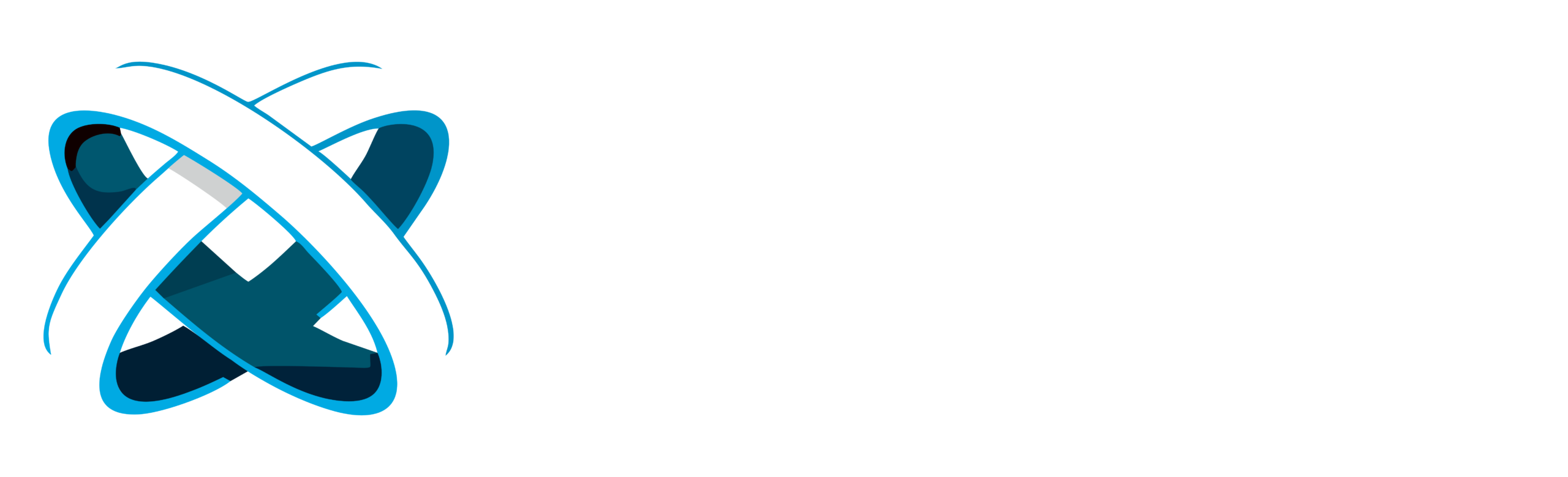 Logo Horizontal Color 2