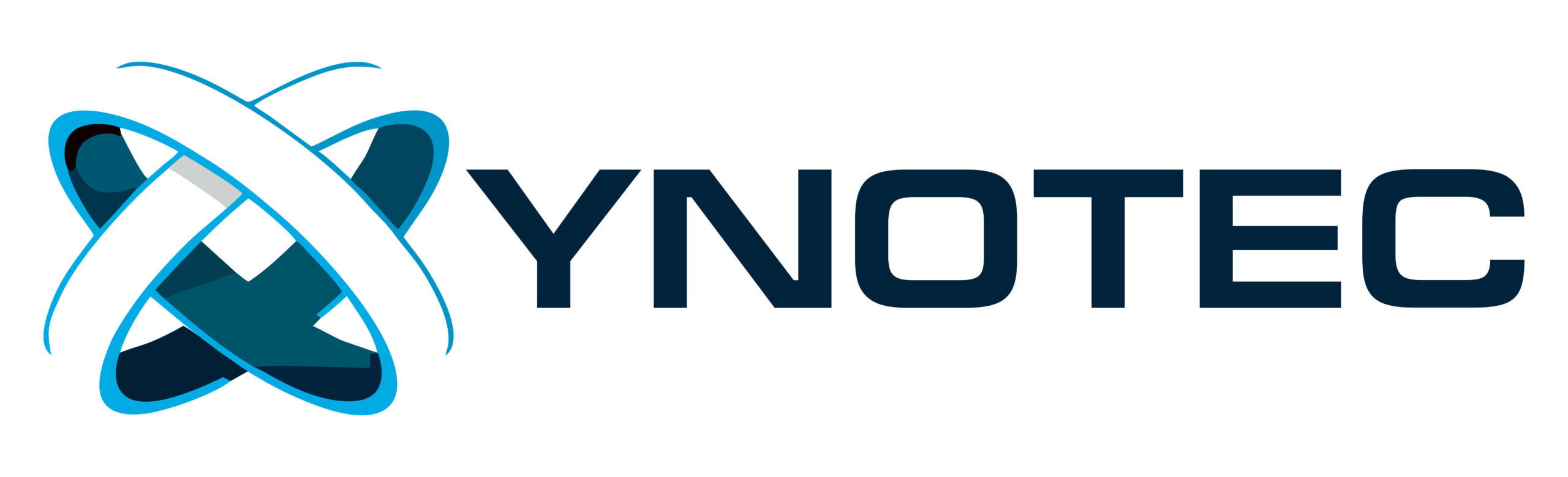 Logo Horizontal Color